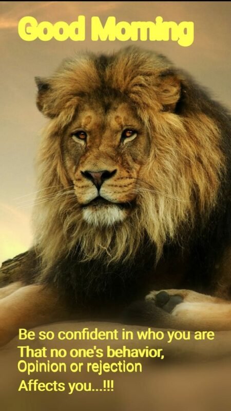 Good Morning Lion Quote Image