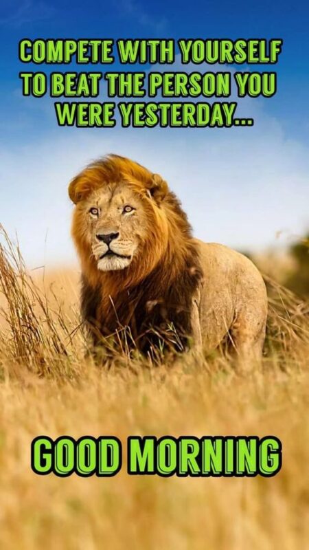 Good Morning Lion Quote Pic