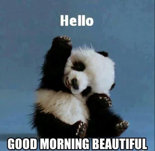 Good Morning Panda Beautiful