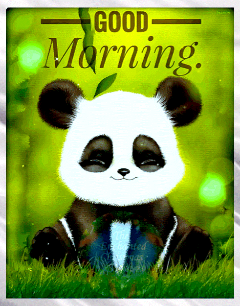 Good Morning Panda Photo