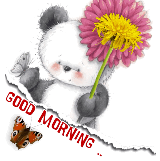 Good Morning Panda