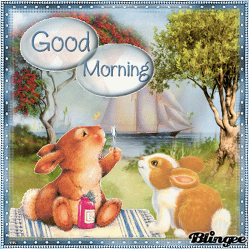 Good Morning Rabbits