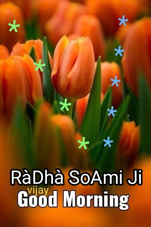 Good Morning Radha Soami Picture