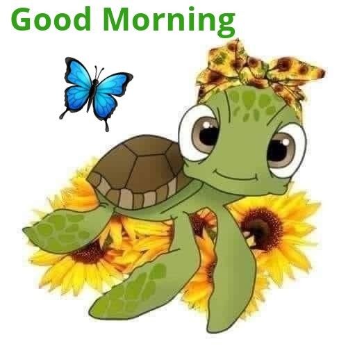 Good Morning Turtle Photo