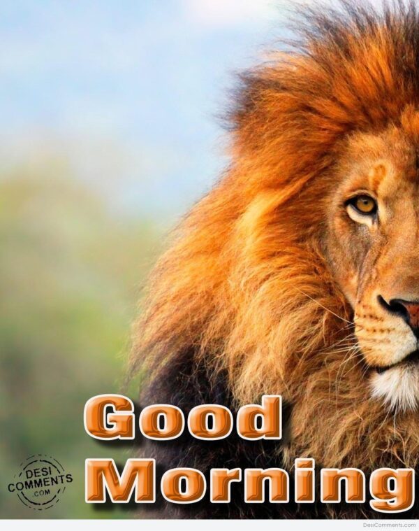 Good Morning Wonderful Lion Pic