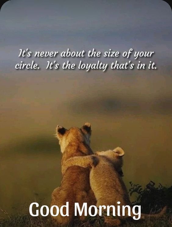 Good Morning Wonderful Lion Picture