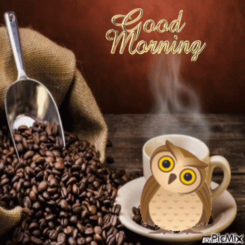 Good Morning Coffee Owl