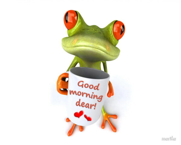 Good Morning Dear Frog