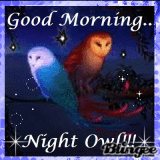 Good Morning Night Owls