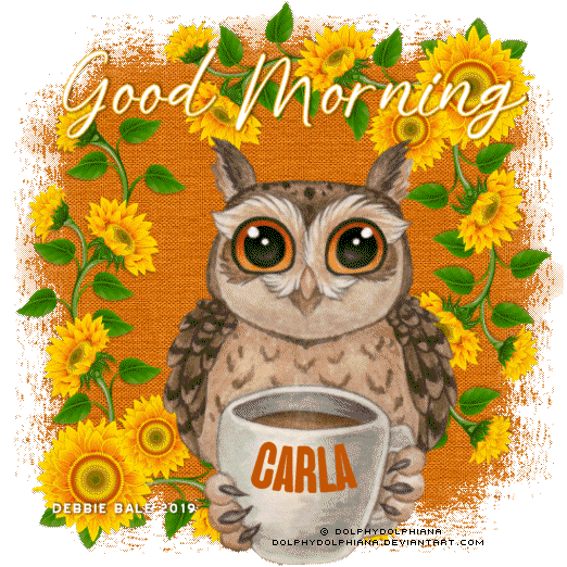 Good Morning Owl Carla
