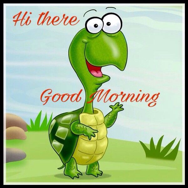 Hi There Best Good Morning Turtle