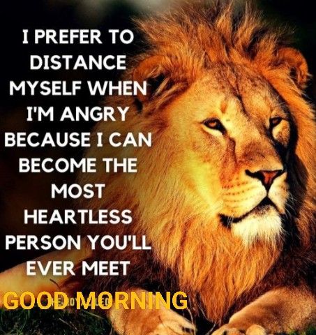 Lion Good Morning Quote Image