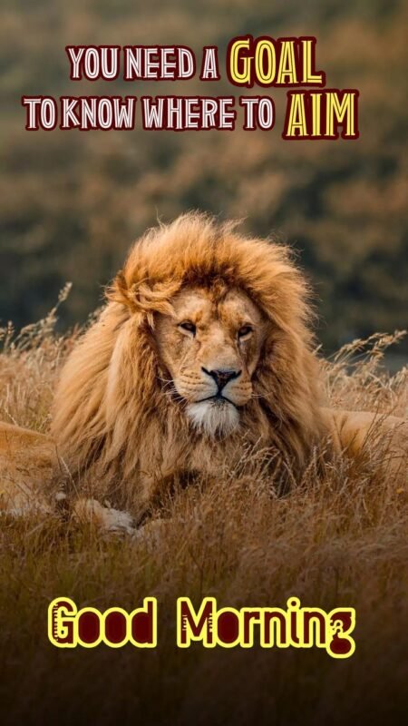 Lion Good Morning Quote Pic