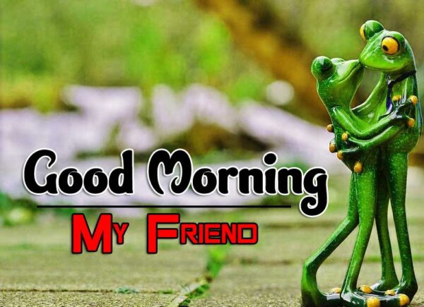 Love Good Morning Frog Pics