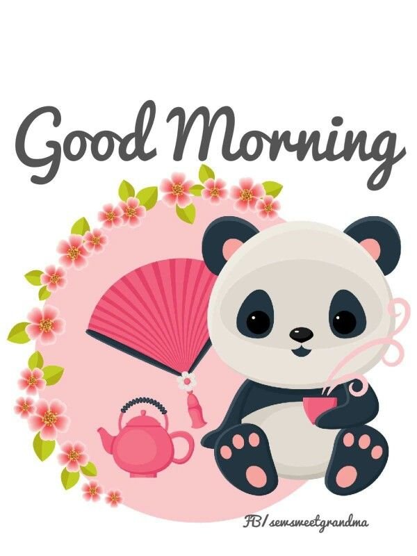 Morning Panda Pic
