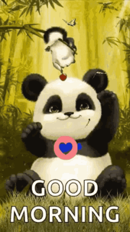 Morning Panda Pics