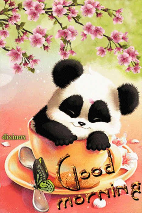Morning Panda
