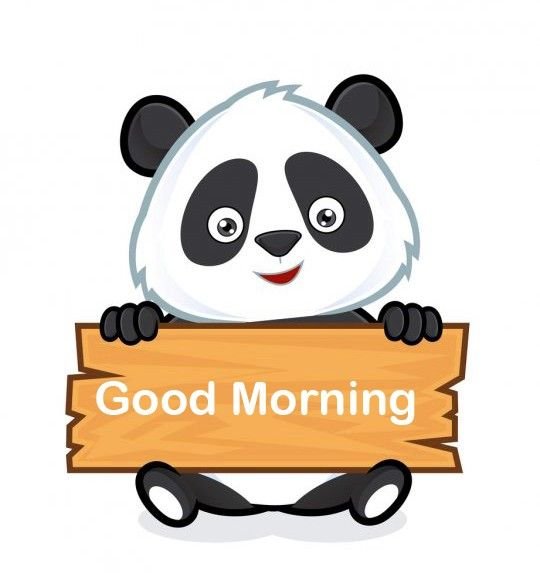 Morning Panda