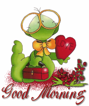 Morning Turtle