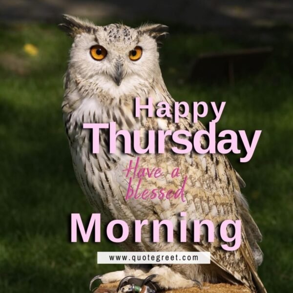 Owl Image With Good Morning, Happy Thursday