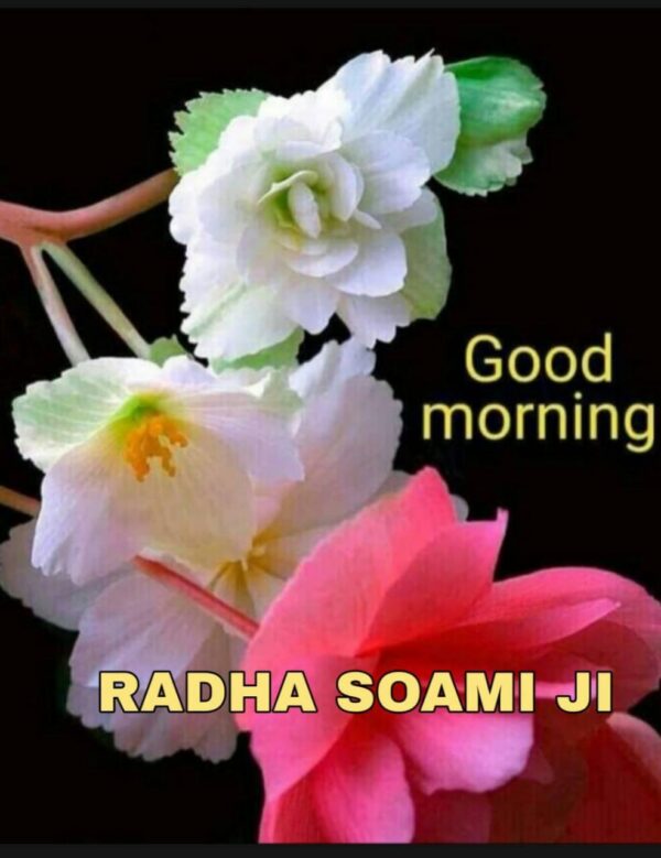 Radha Soami Good Morning Photo