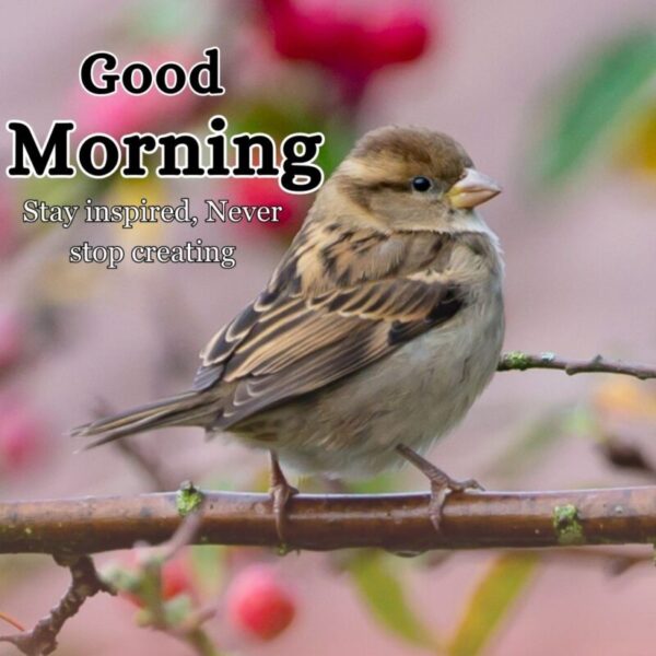 Sweet Good Morning Bird Image