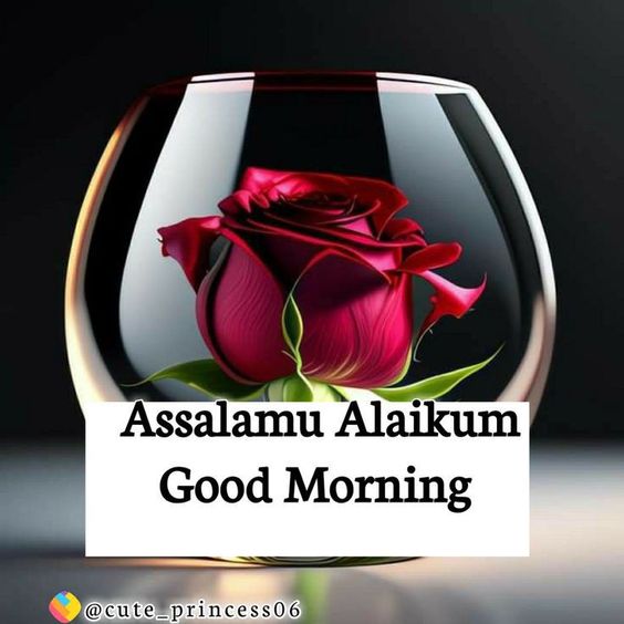 Wonderful Assalamu Alaikum Good Morning Picture