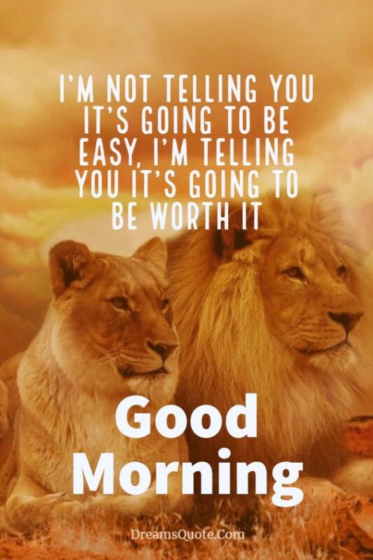 Wonderful Good Morning Lion Image