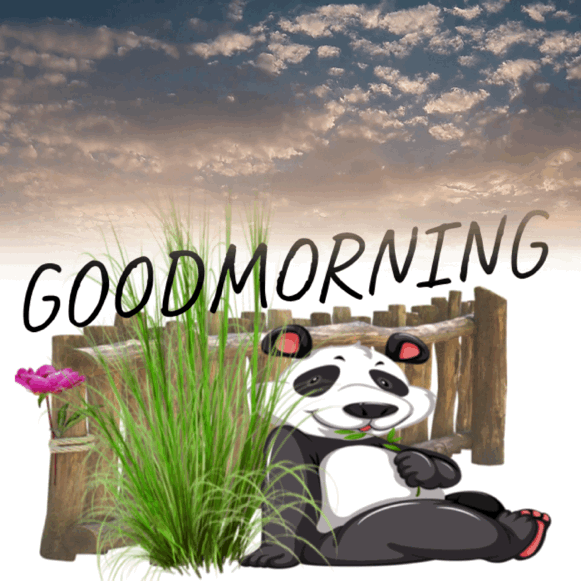 Wonderful Morning Panda