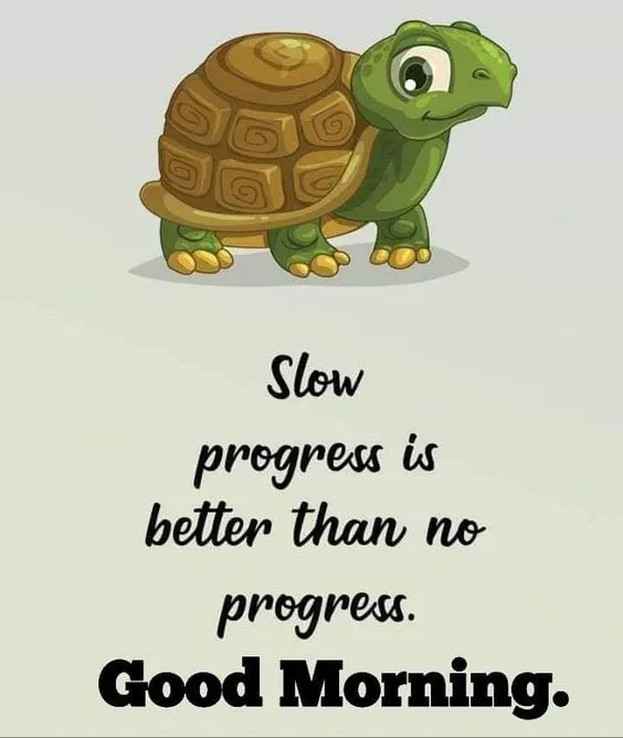Wonderful Morning Turtle Photo