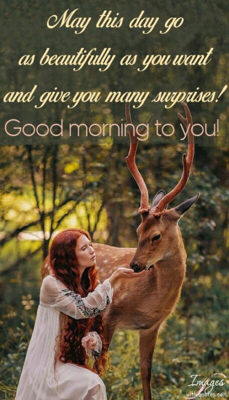 Beautiful Good Morning Images Deer