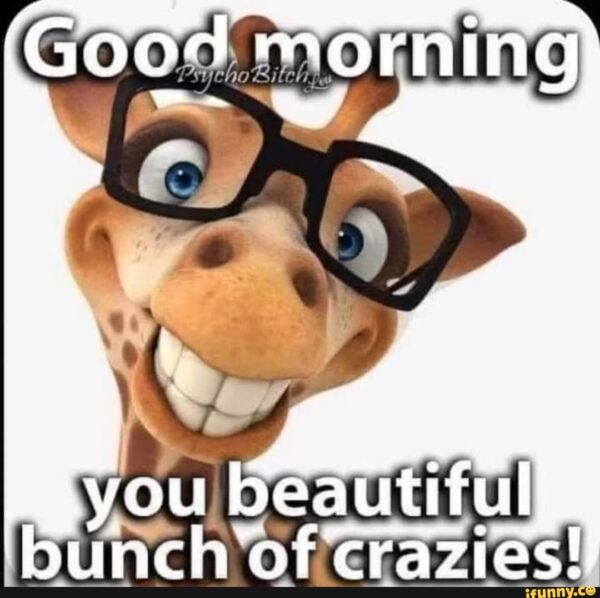 Cool Good Morning Giraffe Beautiful