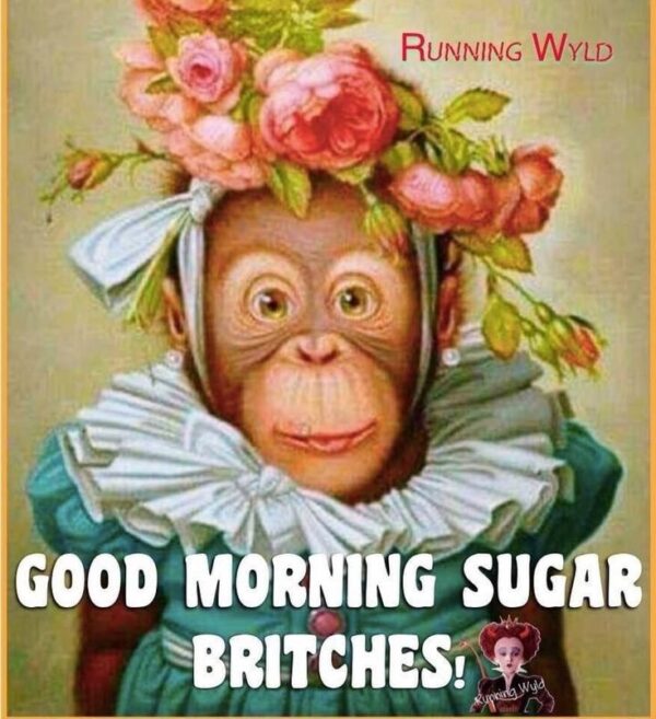 Cute Monkey Good Morning Sugar