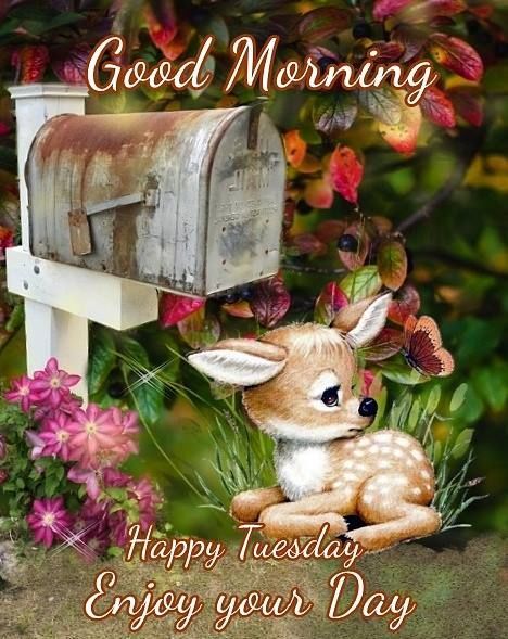 Enjoy Your Day Wonderful Image Of Good Morning Deer