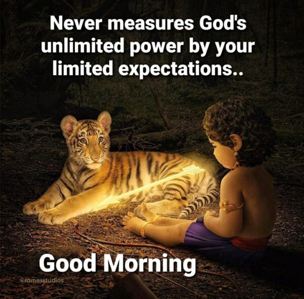 Fantastic Tiger Good Morning Picture
