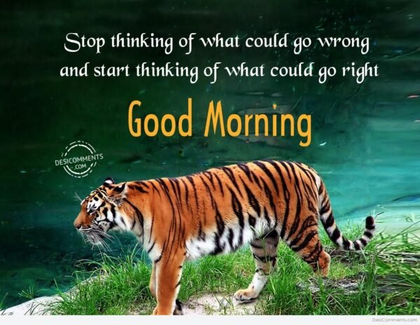 Fantastic Tiger Good Morning Stop Thinking Of