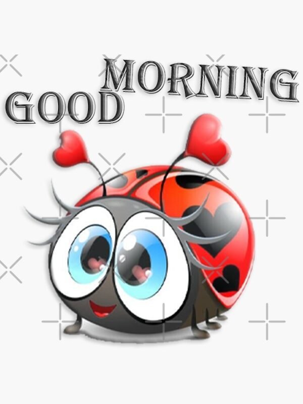 Good Morning Beautiful Ladybug Pics