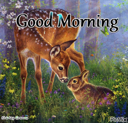 Good Morning Deer And Rabbit