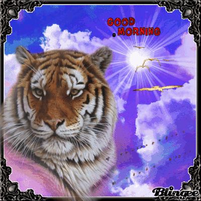 Good Morning Fantastic Tiger