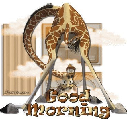 Good Morning Giraffe Image