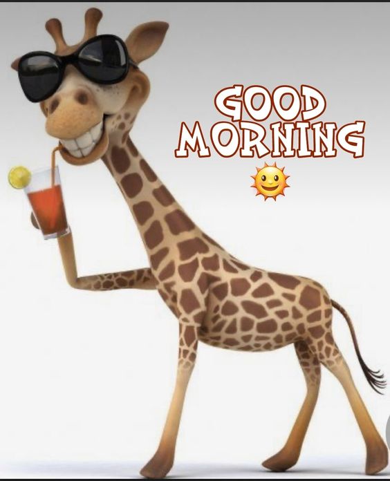 Good Morning Giraffe Picture