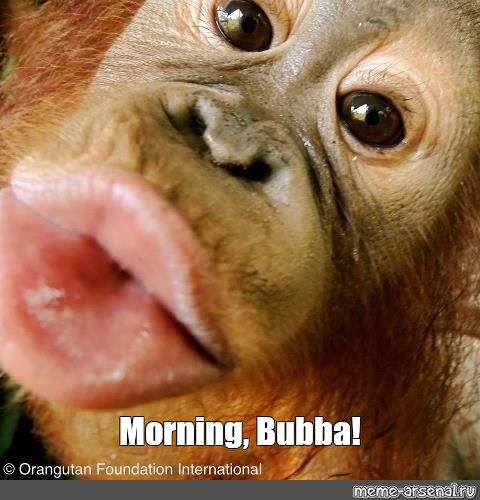 Good Morning Monkey Bubba
