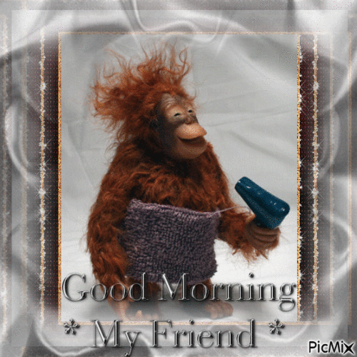 Good Morning Monkey My Friend