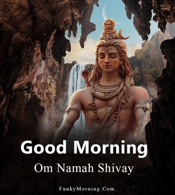 Good Morning Om Namah Shivay Photo