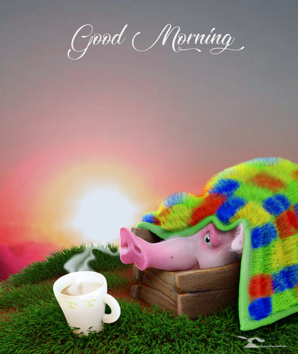 Good Morning Piggy Picture