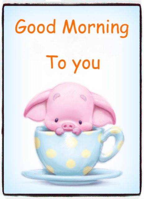 Good Morning Piggy To You