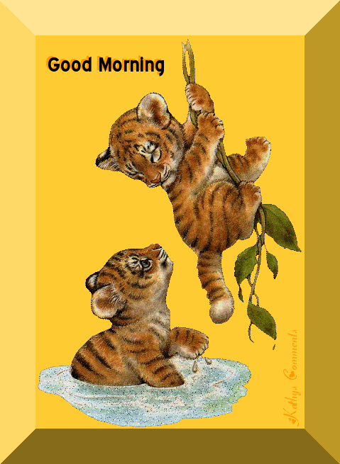 Good Morning Tiger
