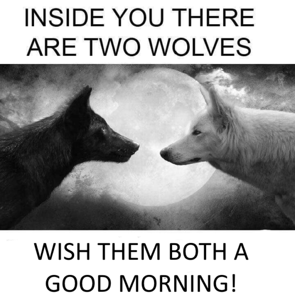 Good Morning Wolves