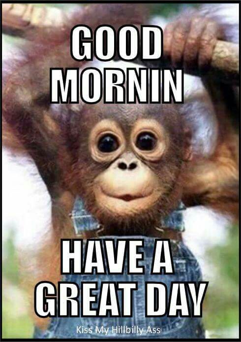 Have A Great Day Monkey Morning