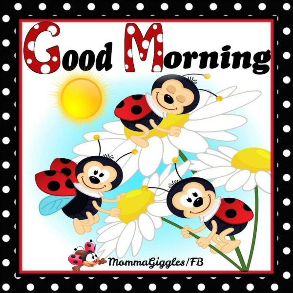 Ladybug Good Morning
